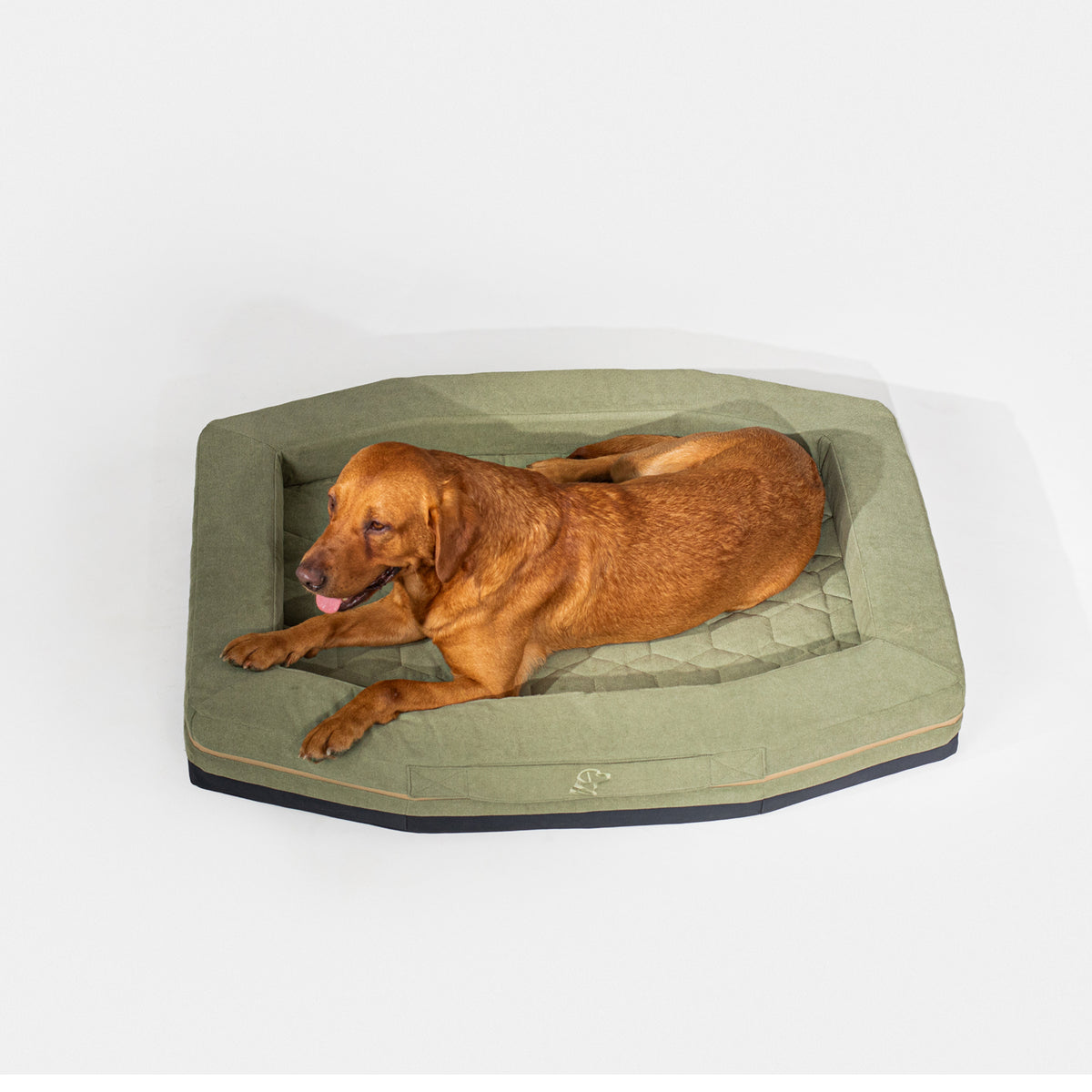 A brown dog lies on the GUNNER HOMESTEAD DOG BED Treeline Green, a large, rectangular pet bed with a durable raised edge thats easy to clean, shown against a plain white background.