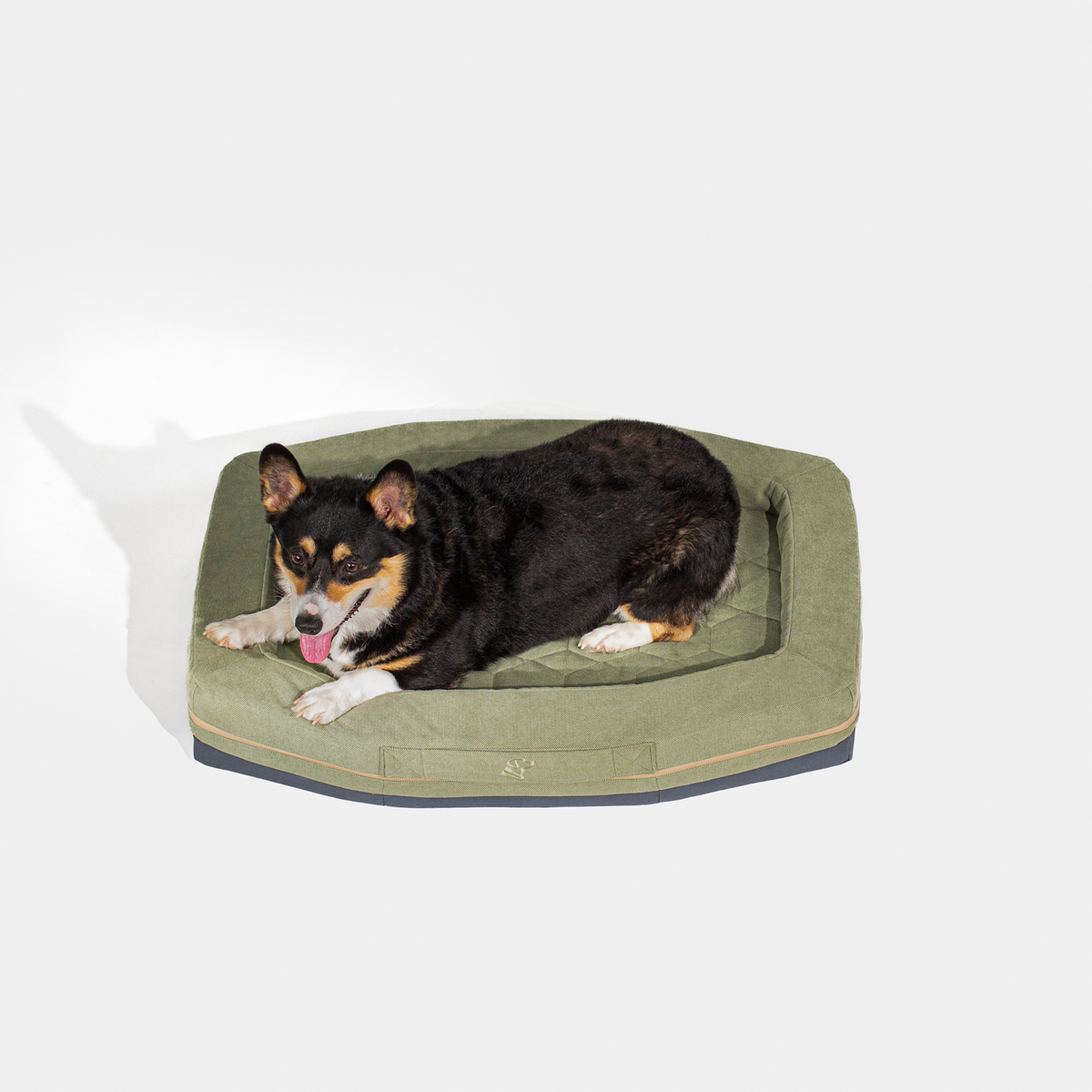 A black, brown, and white corgi relaxes with its tongue out on the GUNNER HOMESTEAD DOG BED Treeline Green, highlighting the bed’s durable and easy-to-clean design against a plain white background.