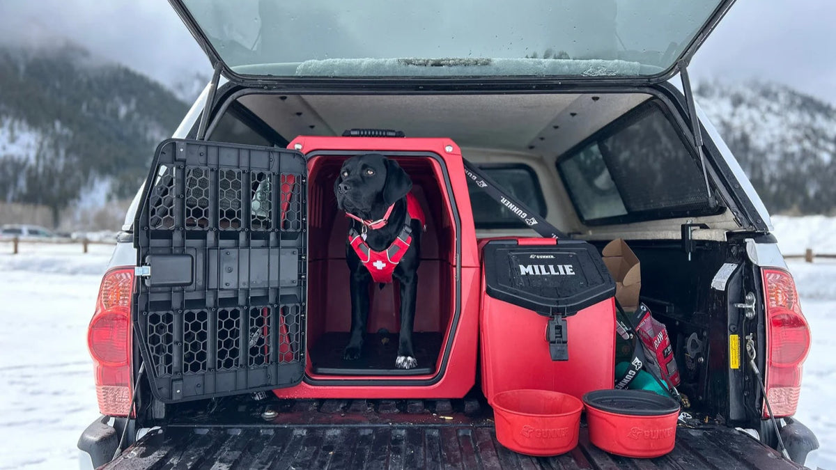 A black hunting dog wearing a red harness stands in a red crate, serving as its kennel, in the back of a truck. Snowy mountains and trees are in the background. Nearby are a red container labeled Millie and red dog bowls.