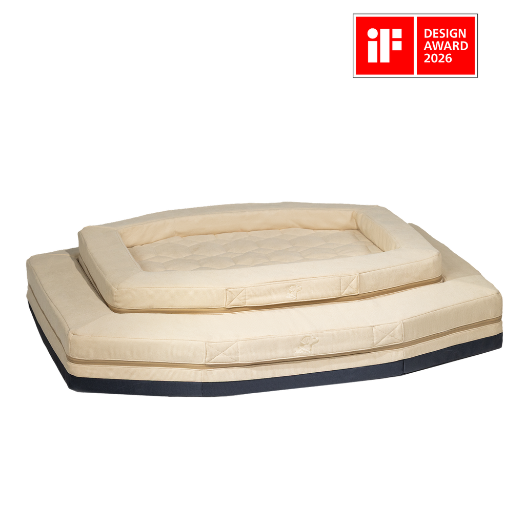 Two beige rectangular dog beds are stacked with quilted surfaces and raised edges on a white background. An iF Design Award 2026 badge appears in the top right corner.