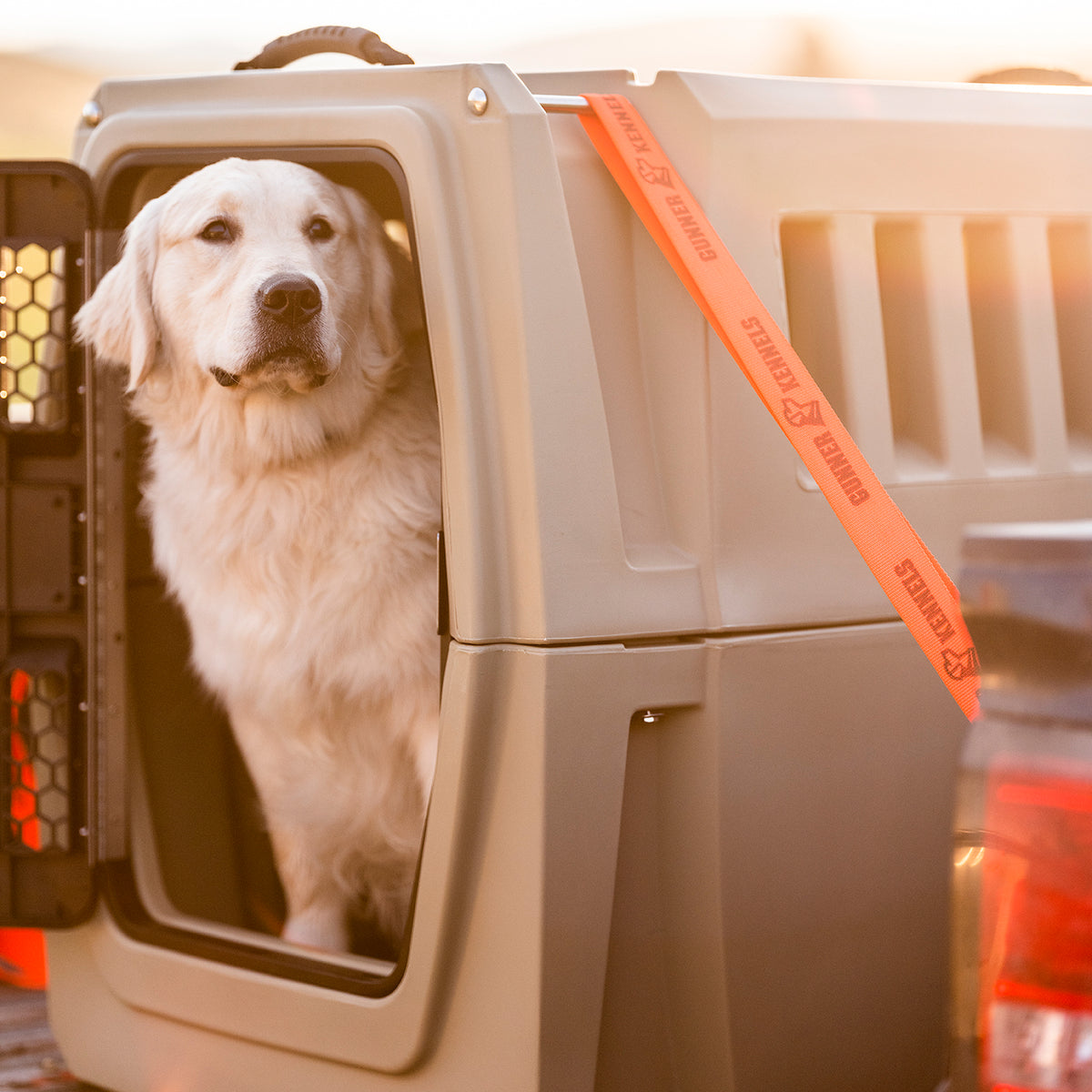 A golden retriever sits in a large, tan GUNNER G1™ KENNEL - TAN/SHADOW GRASS with the door open. An orange STANLEY WARNING strap is attached. Sunlight shines on the safe crate, ideal for duck hunters and their loyal companions.