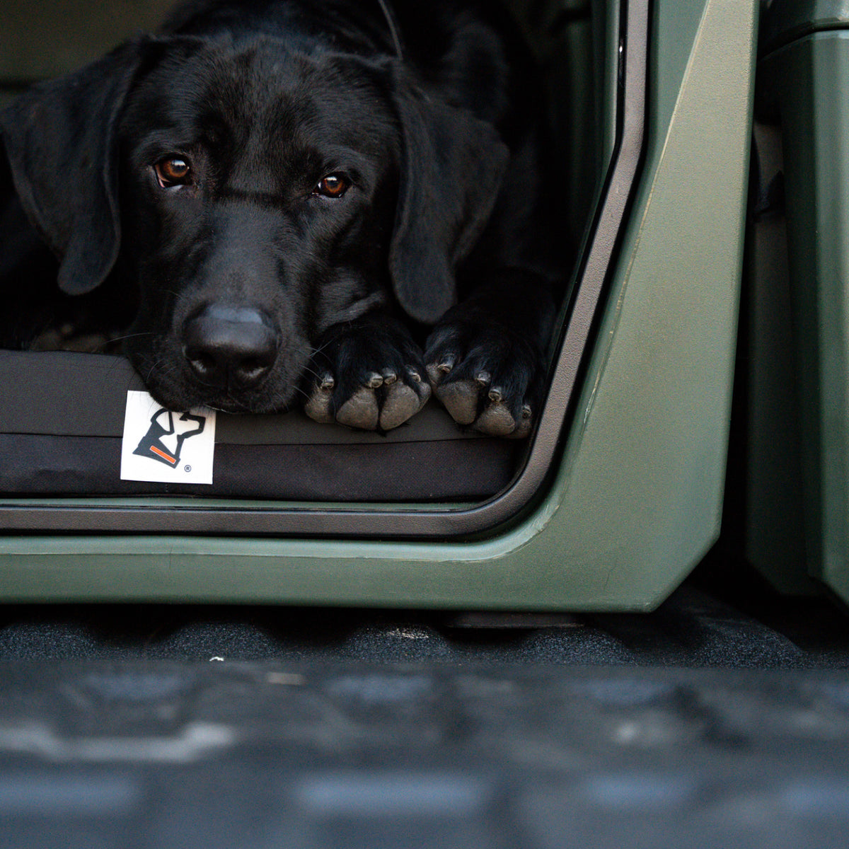 A black dog rests its head and paws on the edge of a green crate, lying comfortably on the GUNNER LONG HAUL BED—a waterproof dog bed that ensures protection and coziness inside the crate.