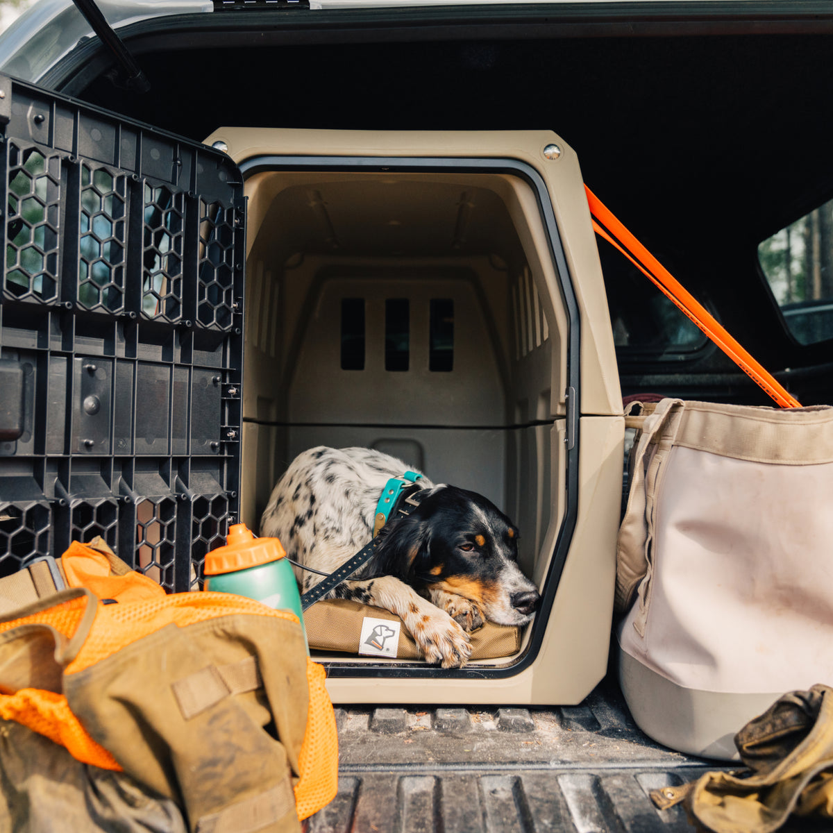 A black-and-white dog with a blue collar rests on the GUNNER Long Haul Bundle inside a beige pet crate in a car’s open trunk, next to a tan bag and orange backpack with a green water bottle.