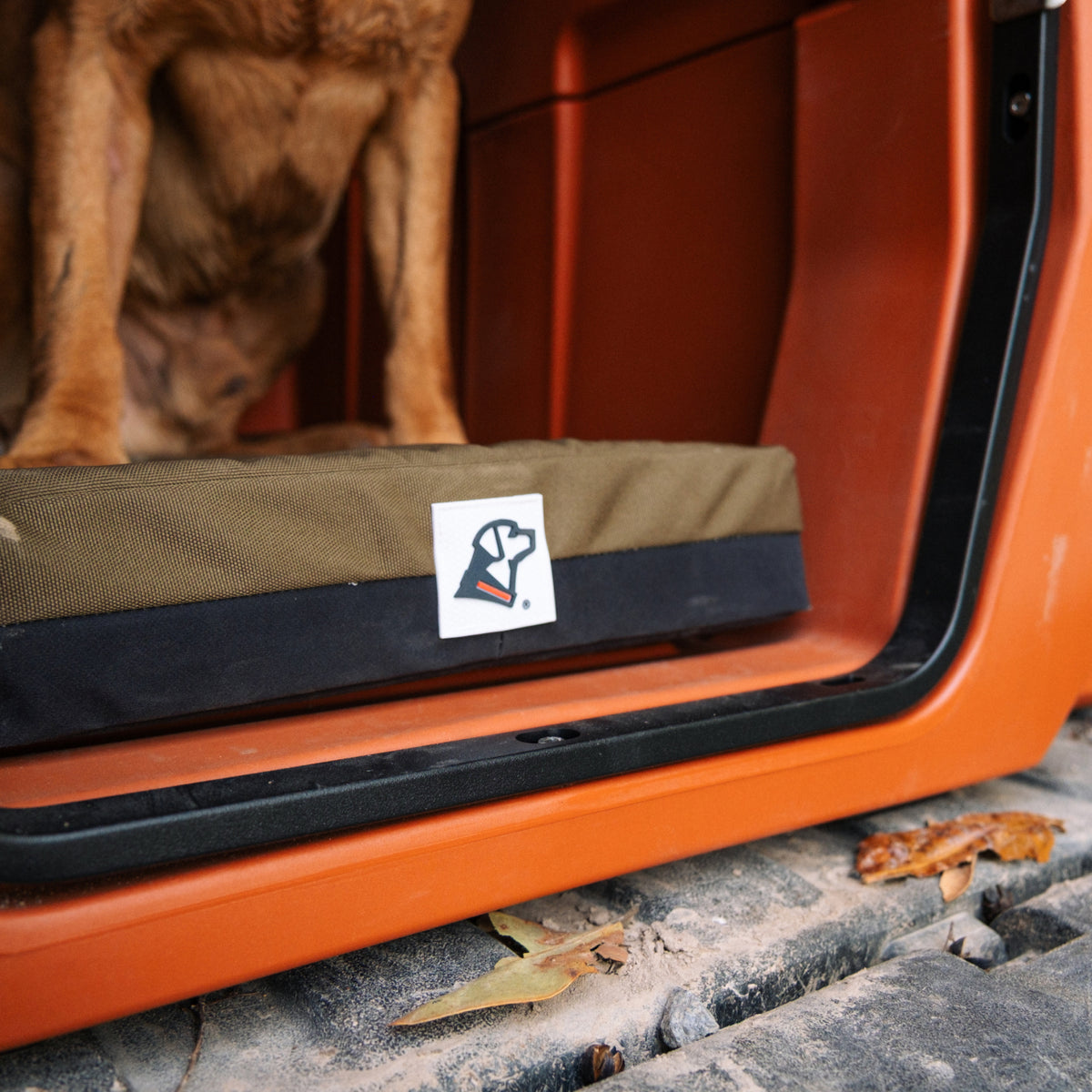 A brown working dog sits inside an orange vehicle on an olive and black dog bed, with leaves and dirt visible outside the open door.