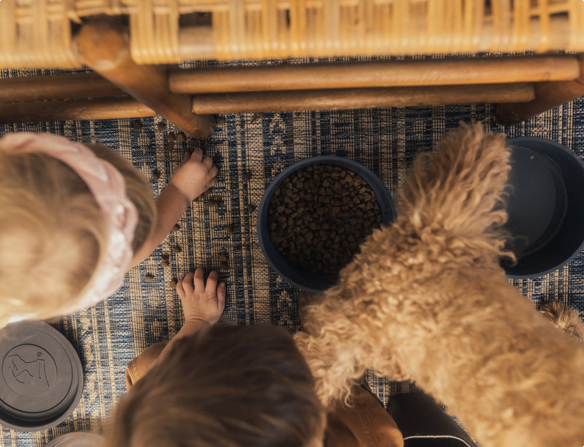 A top-down view of two children and a curly-haired dog gathered around a bowl filled with kibble on a patterned rug, next to a bowl of water and a lidded container, with a dog crate tucked nearby.