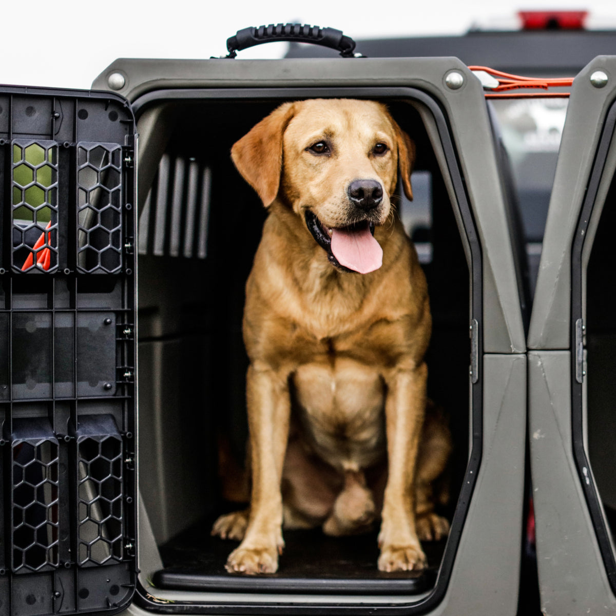 A happy yellow Labrador retriever sits in an open dog crate, tongue out and looking forward, comfortably resting on the GUNNER Performance Bundle.
