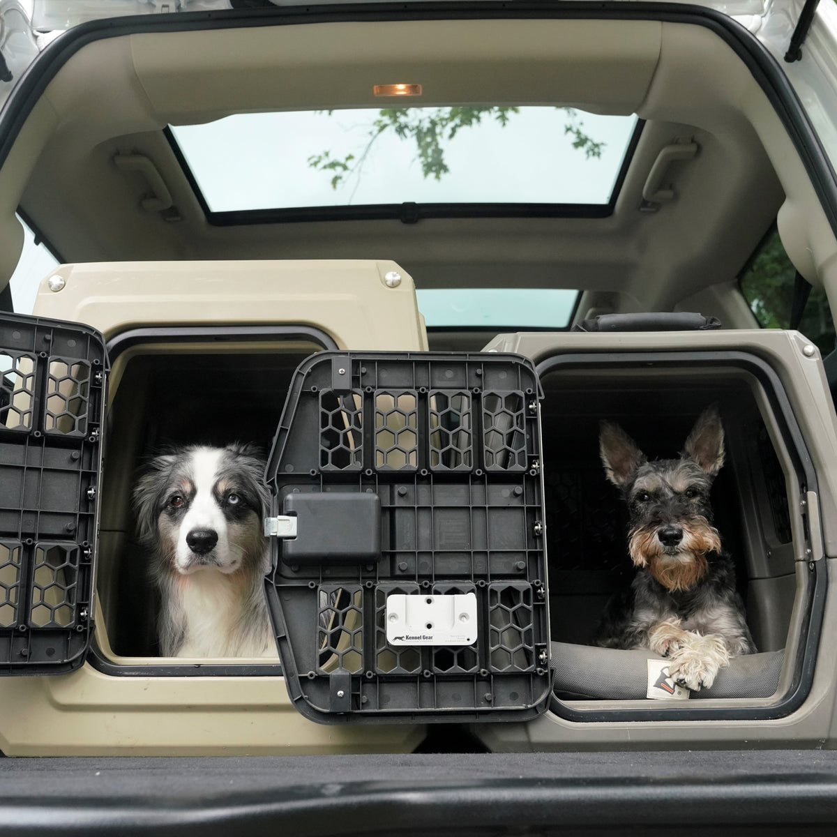 Two dogs sit in separate GUNNER G1™ KENNEL - GUNMETAL crates in the back of a car with the hatch open. The left dog is white with black patches; the right dog is gray with pointed ears and a beard.