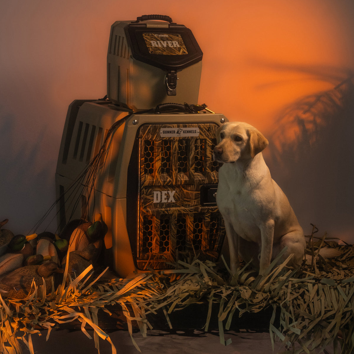 A yellow Labrador retriever sits on artificial grass beside two stacked GUNNER G1™ KENNELs in Tan/Shadow Grass, labeled River and Dex. Soft orange lighting and plant shadows give the scene a warm, outdoorsy feel.