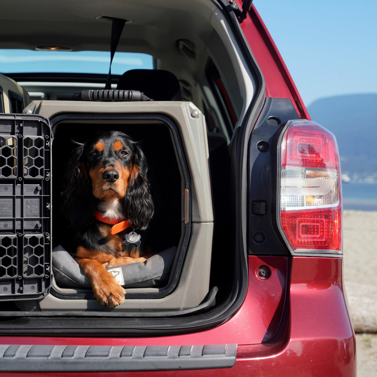 A black and brown dog with a red collar sits comfortably in a GUNNER G1™ KENNEL - GUNMETAL in the back of a red car parked by the beach, with blue sky and mountains in the background.