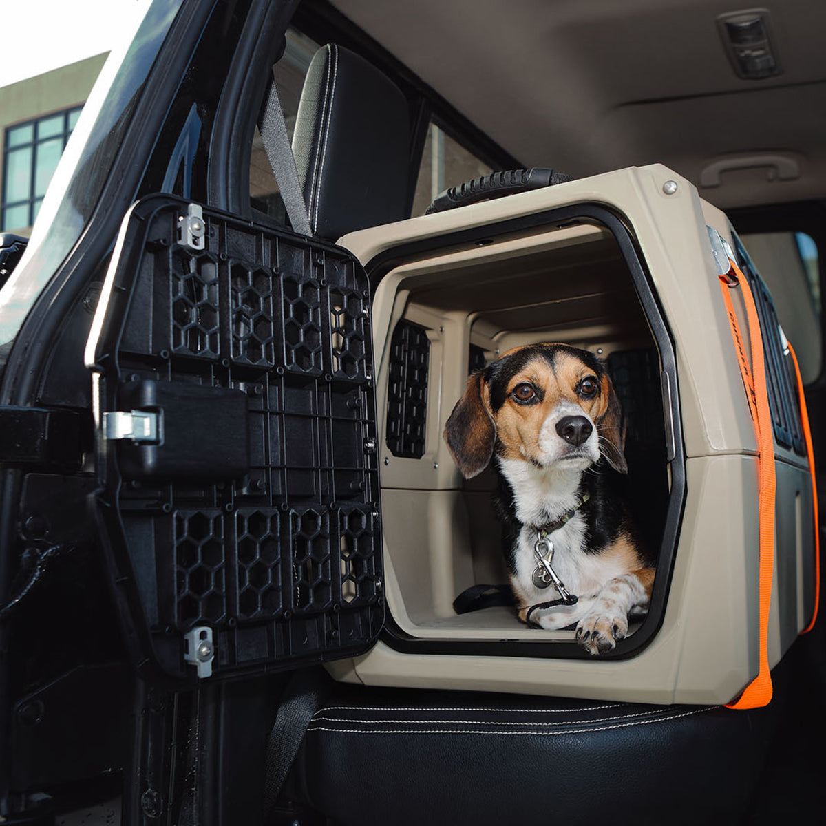 A small dog with a black, brown, and white coat sits in a GUNNER G1™ KENNEL - TAN/SHADOW GRASS on the back seat of a car with the kennel door open, ready for duck hunters seeking the safest travel dog crate.