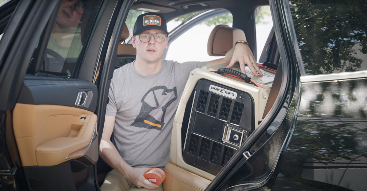 A man wearing glasses and a cap sits in the back seat of a car next to a large dog kennel, holding a small football. The car door is open, and sunlight comes through the window.