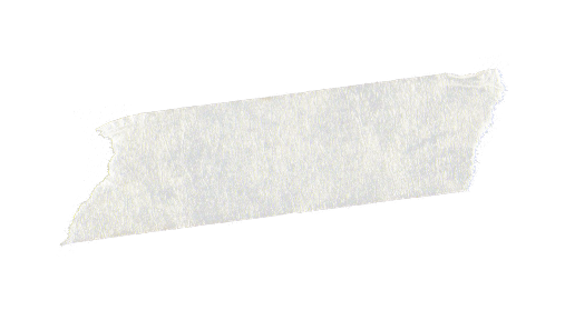 A single piece of torn white masking tape, often used for labeling outdoor gear or a dog crate, is placed diagonally on a plain, light gray background.