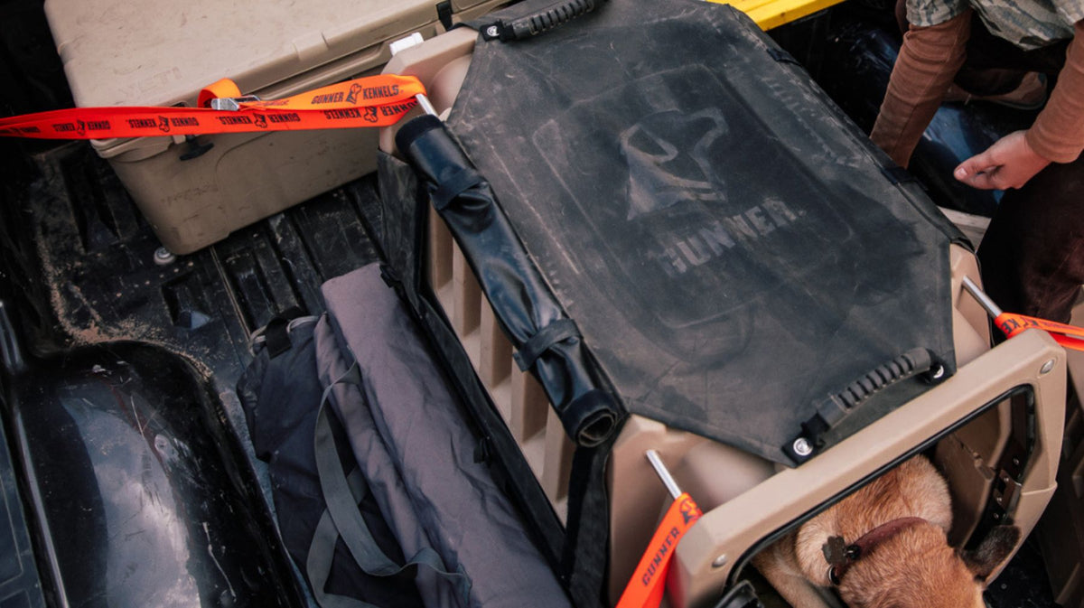 A close-up of the back of a vehicle bed shows a large black and tan kennel secured with orange straps, outdoor gear like a gray bag, and part of a brown hunting dog inside the crate. A person’s arm is visible to the right.
