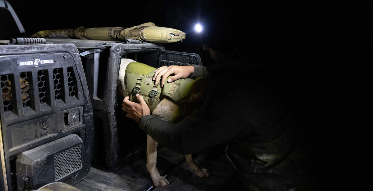 A person in the dark, wearing a headlamp, helps a working dog in a protective vest climb into the back of a vehicle loaded with outdoor gear.
