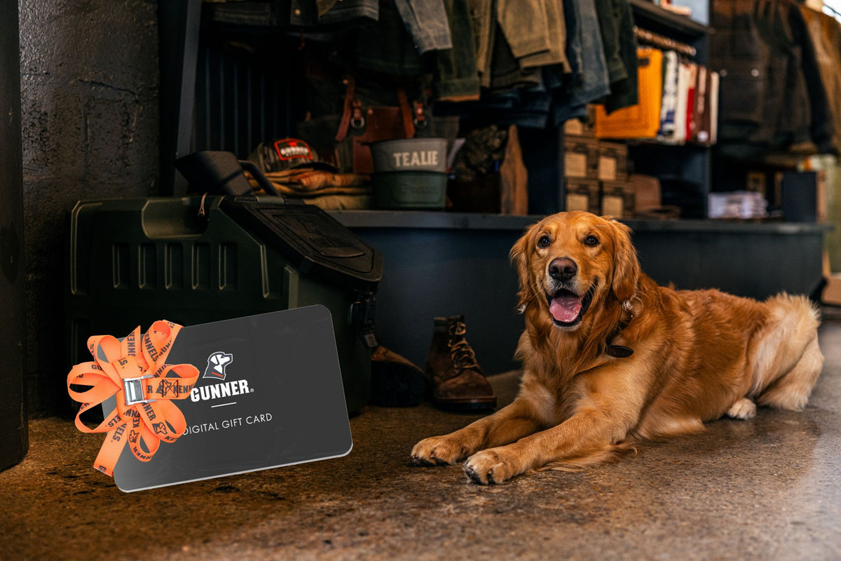 A golden retriever lies on a store floor next to a black Gunner digital gift card with an orange ribbon. Behind the dog are shelves displaying boots, bags, outdoor gear, and clothing.