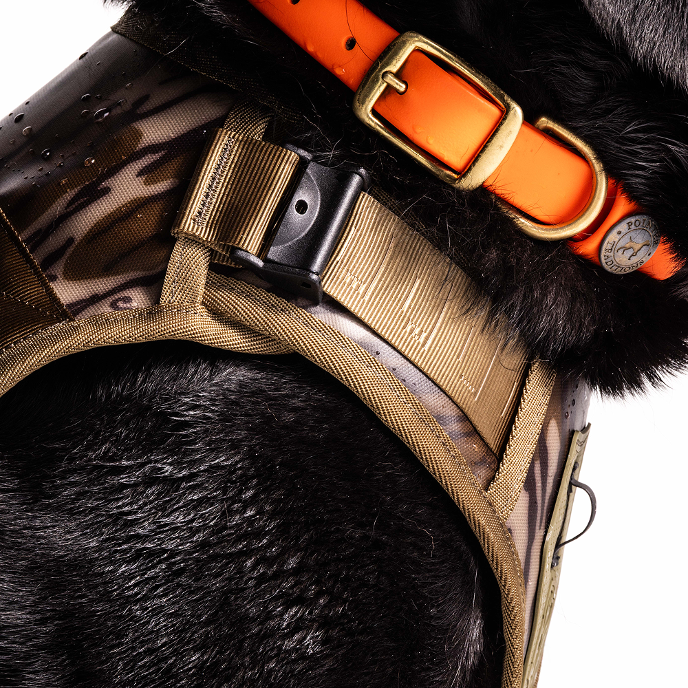 Close-up of a black dog wearing the GUNNER Waterfowl Dog Vest Mossy Oak Bottomland®, featuring a 5-Layer Performance System, plus an orange collar and round ID tag. Water droplets highlight the vests durability and the dogs sleek coat.