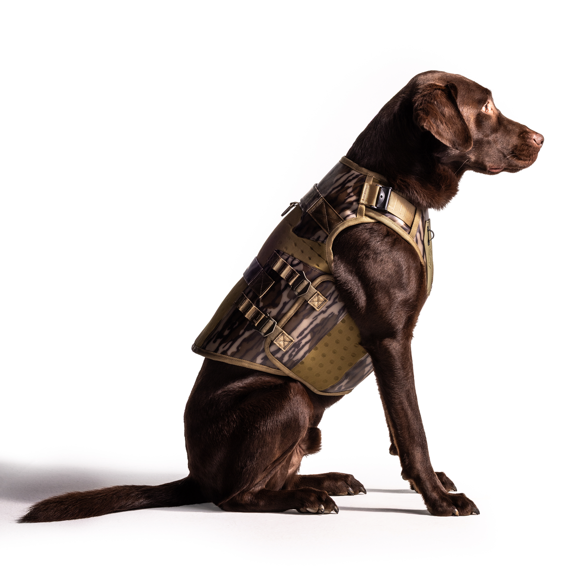 A chocolate Labrador retriever sits upright, wearing a GUNNER Waterfowl Dog Vest Mossy Oak Bottomland® with a 5-Layer Performance System, camouflage pattern, and sturdy buckles and straps, against a white background.