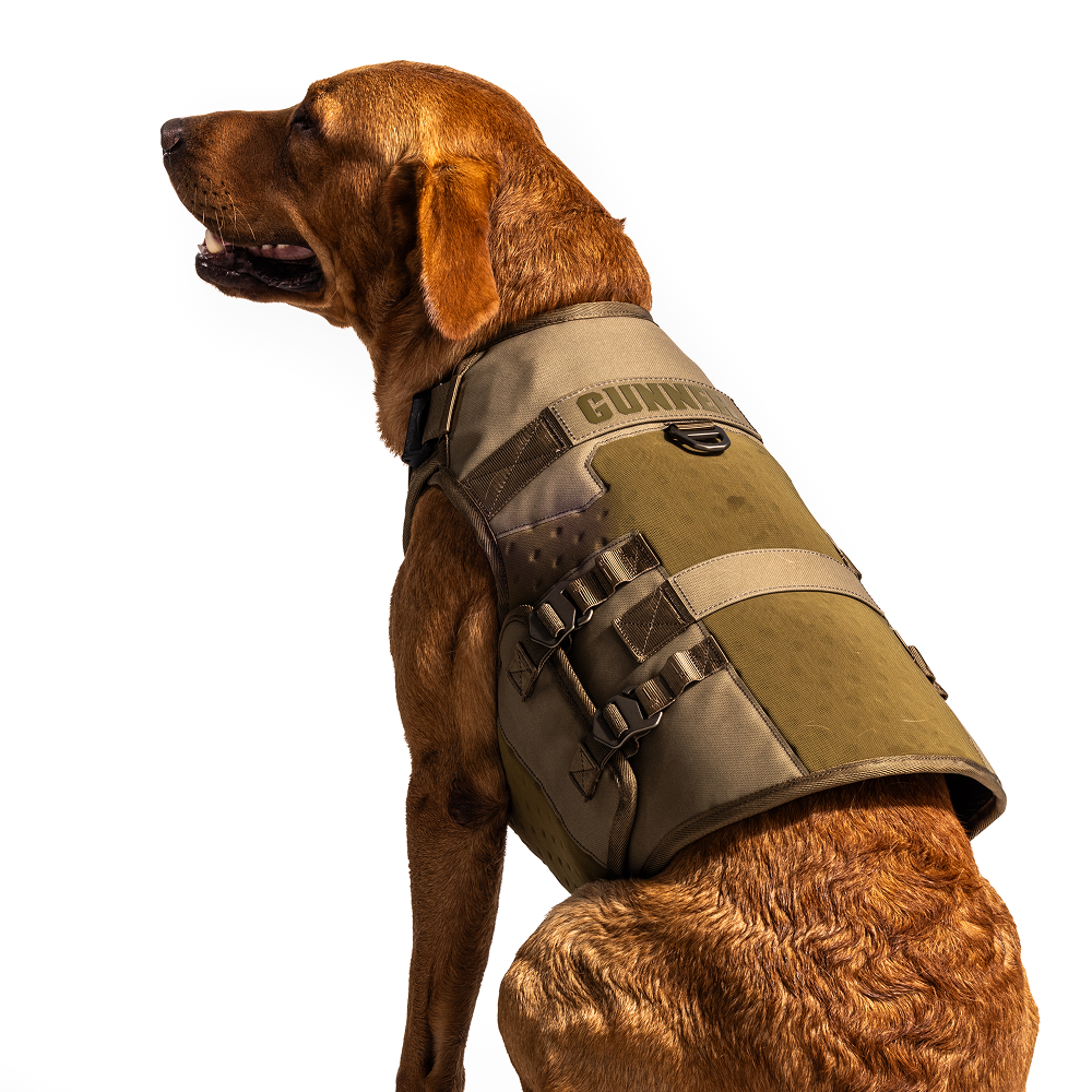 A brown dog sits sideways against a white background, wearing the GUNNER Waterfowl Dog Vest Marsh in olive green with black buckles and GUNNER printed on the side.