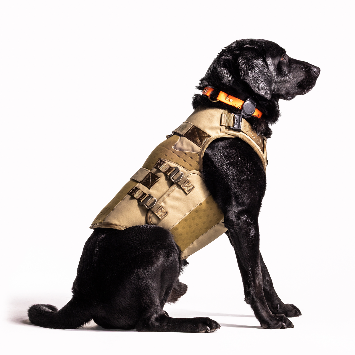 A black Labrador retriever, wearing a GUNNER Waterfowl Dog Vest Marsh with a 5-Layer Performance System and an orange collar, sits facing left on a white background.
