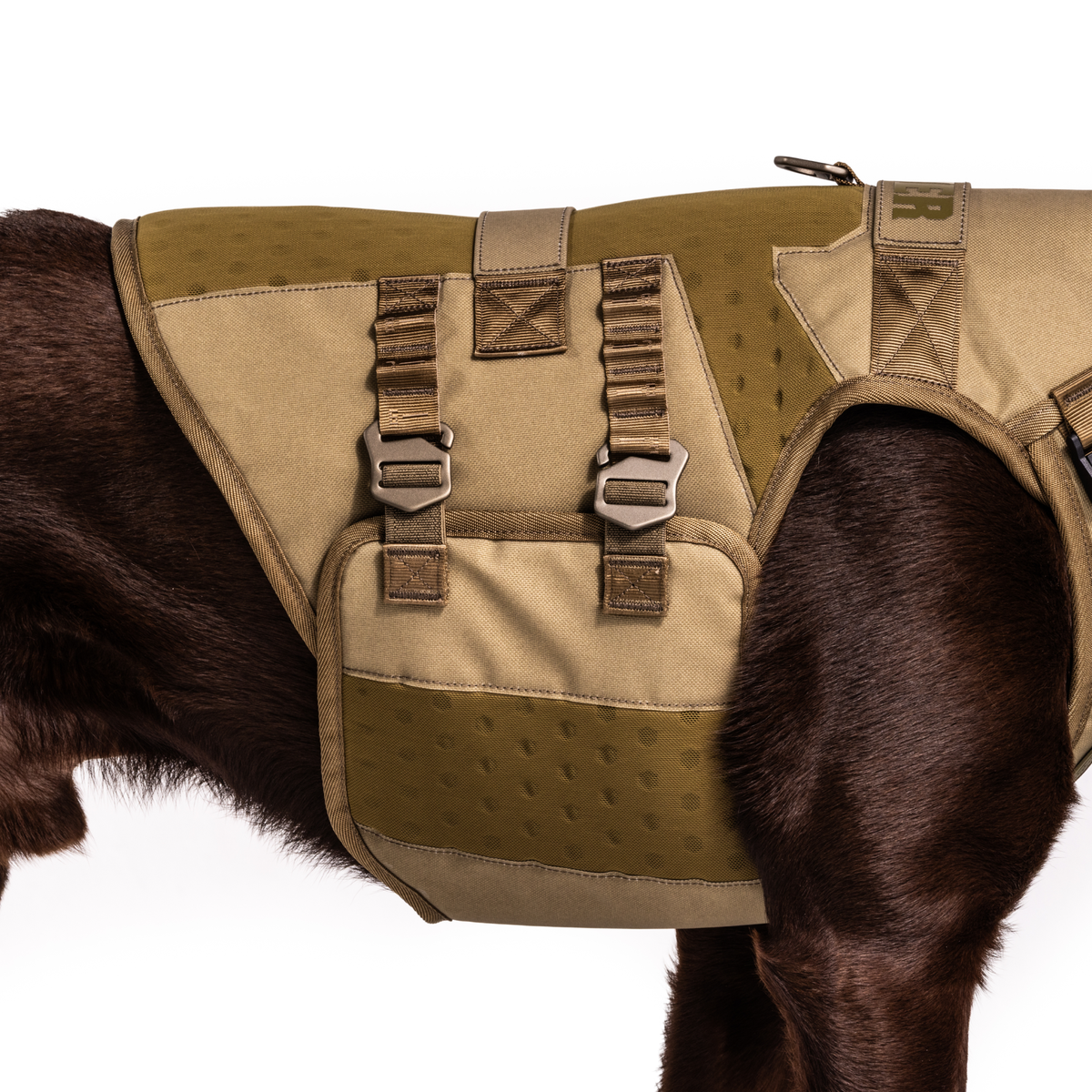A close-up of a brown dog wearing the GUNNER Waterfowl Dog Vest Marsh, featuring a tactical tan and olive design with metal buckles, pockets, and a 5-Layer Performance System for working or service dogs, against a white background.