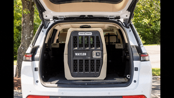 A large dog crate labeled WAYLON is secured in the cargo area of an open white SUV parked outdoors, with trees and greenery in the background—perfect for transporting your working dog and outdoor gear.