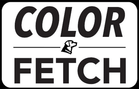 Black and white logo with the words COLOR FETCH in bold letters, separated by a horizontal line featuring a small dog head silhouette—perfect for an outdoor gear or kennel brand.