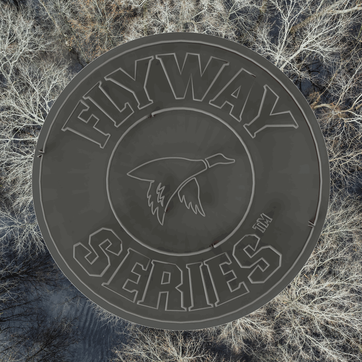 Aerial view of a large black water tower featuring the words FLYWAY SERIES and an outline of a flying goose, surrounded by leafless trees and a nearby dog kennel.