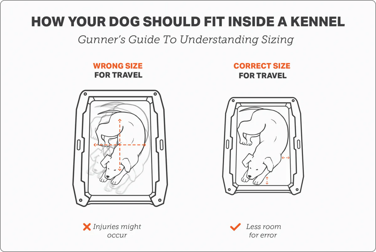 Infographic showing two dog kennels: the left has a cramped working dog labeled Wrong Size for Travel; the right features a hunting dog comfortably curled up, labeled Correct Size for Travel.