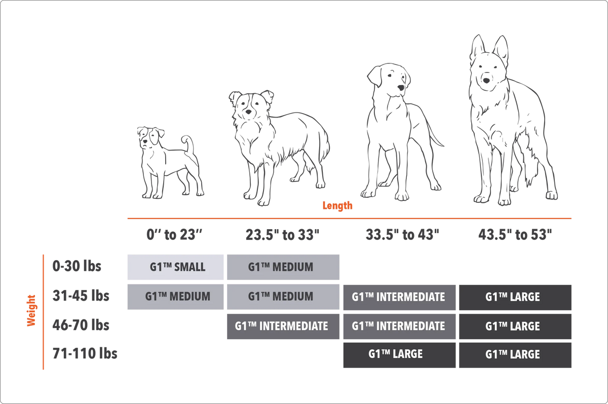 Chart showing four dog sizes by length and weight, with drawings of increasing dog sizes. Below, a grid recommends G1 kennel sizes (Small, Medium, Intermediate, Large) based on working dog or hunting dogs length and weight.