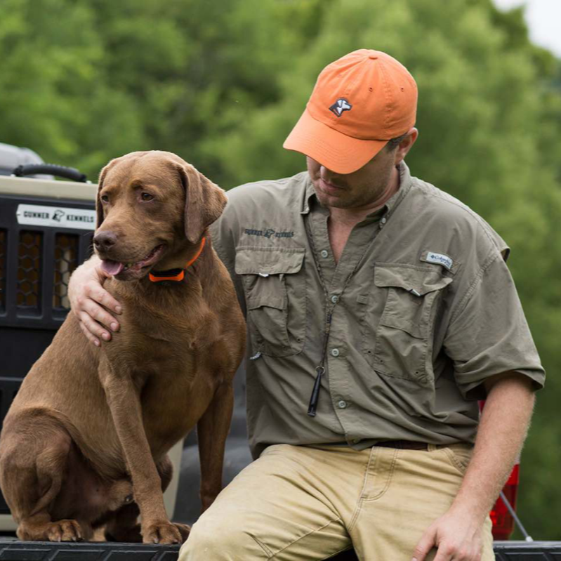 A man in an orange cap and green shirt sits on a truck tailgate, gently petting his brown hunting dog in an orange collar. Trees and greenery are visible in the background.