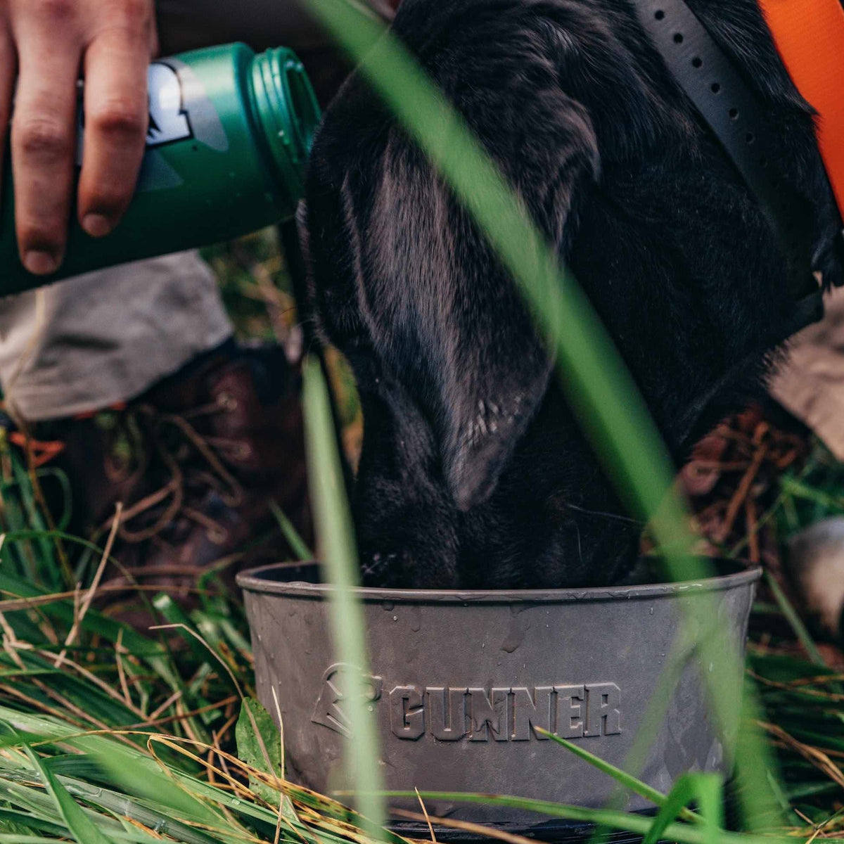 A person pours water from a green bottle into the GUNNER DOG BOWL - GUNMETAL as a black dog drinks from it on green grass.