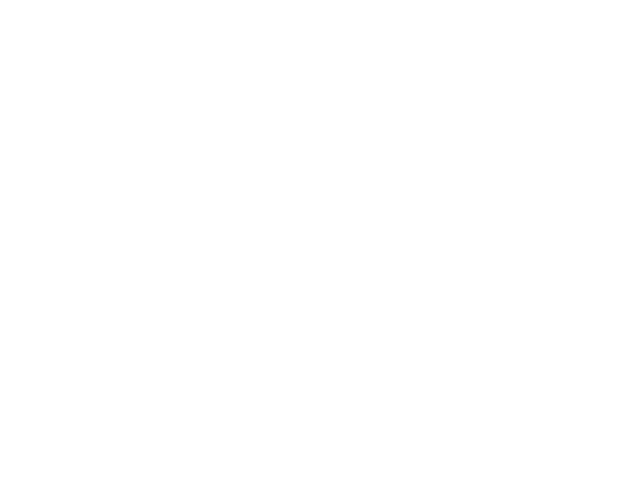 A white license plate with the word CHEVY in bold, uppercase letters at the center. There are four holes for mounting in each corner. Perfect for outdoor gear enthusiasts or anyone with a loyal working dog. The background is plain and light-colored.