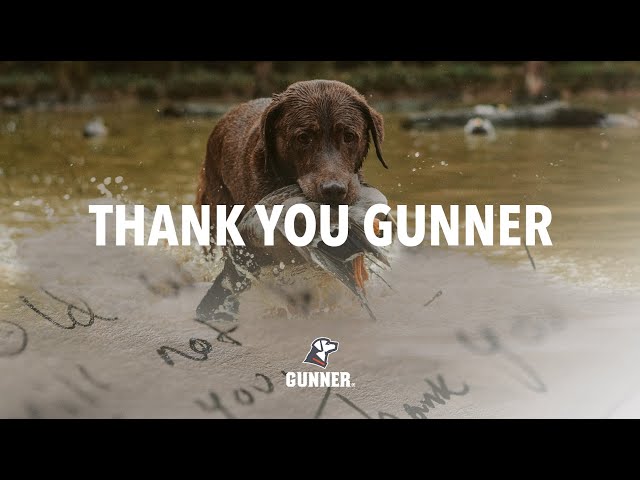A wet brown hunting dog stands in shallow water holding a duck in its mouth. Overlaid text reads THANK YOU GUNNER, with a handwritten letter faintly visible in the background and the Gunner logo at the bottom.