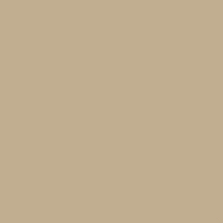 A solid light beige color fills the entire image with no visible patterns, objects, or text, resembling the neutral tone often seen in a dog kennel or dog crate interior.