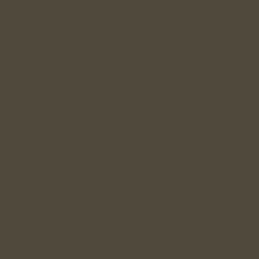 A solid dark brown square with no visible patterns, objects, or text, reminiscent of the deep tones often seen in a wooden dog kennel.